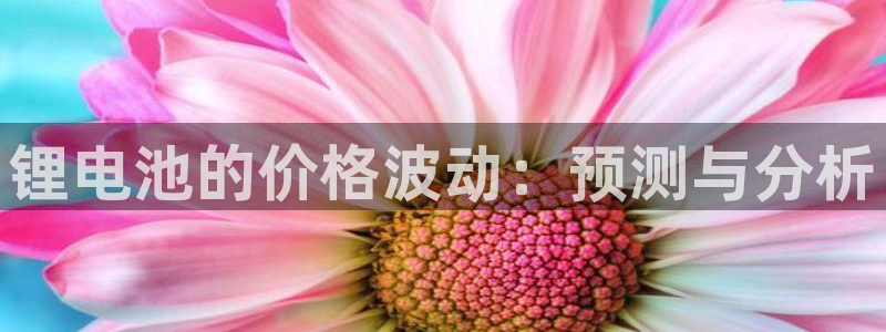 k豆钱包官网平台