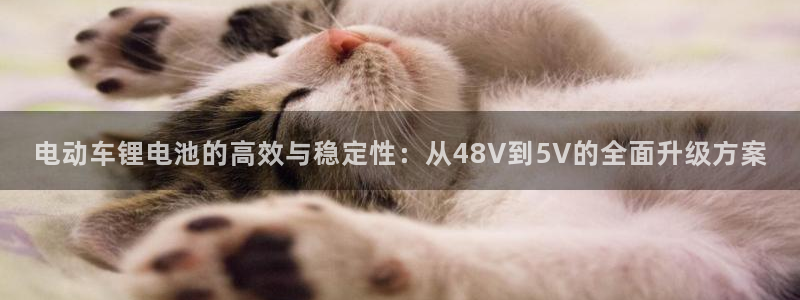 k豆钱包手