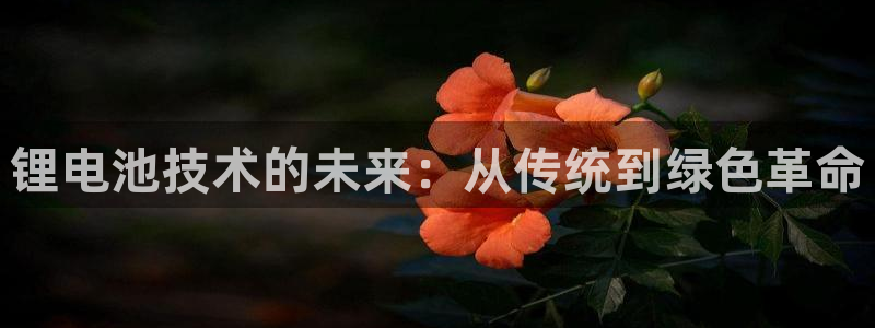 k豆钱包的豆可以互转吗
