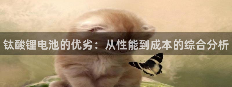 k豆钱包地址在哪看