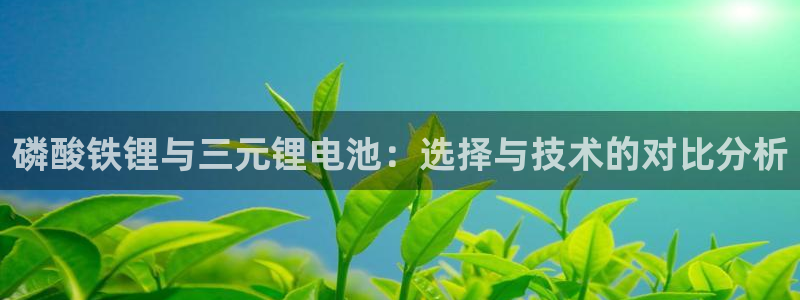 365钱包k豆钱包