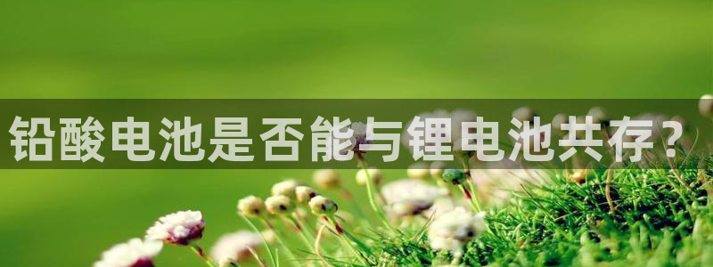 k豆钱包入口