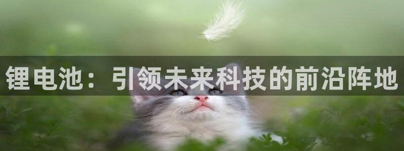 k豆pay钱包