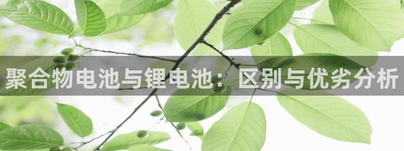 k豆钱包搬砖赚钱