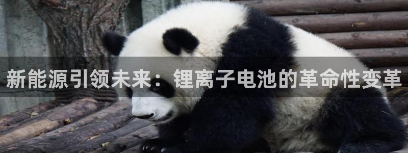 k豆钱包安装包