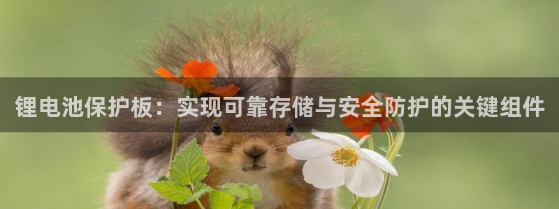 k豆钱包平台