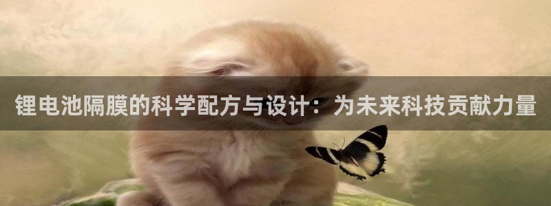 k豆钱包地址