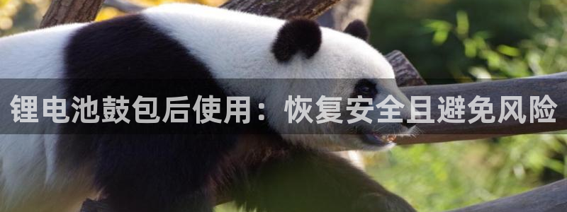 k豆钱包是什么软件