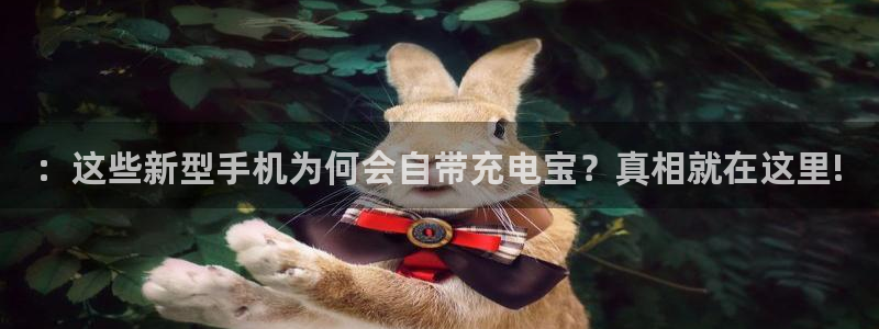 k豆钱包最新版本下载2024