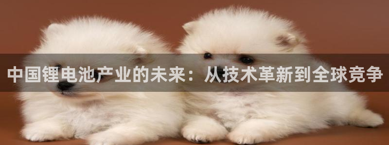 k豆钱包怎么样