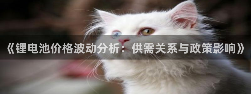 k豆钱包的豆可以互转吗