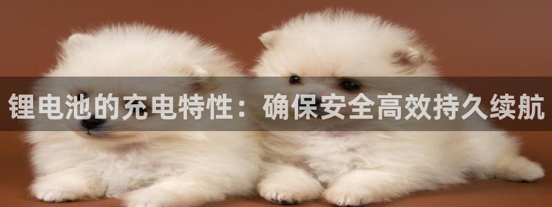 k豆钱包是干嘛的