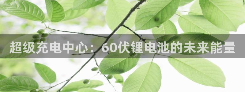k豆钱包网址