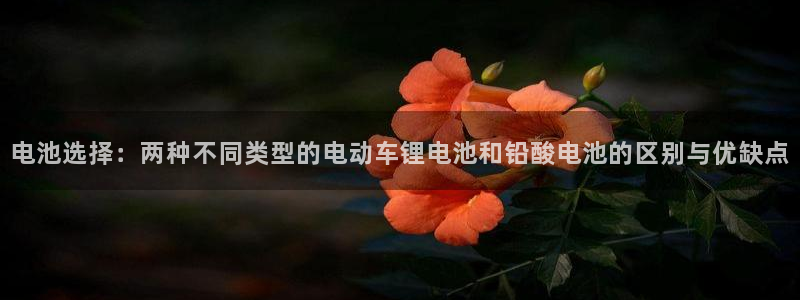 k豆支付钱包下载