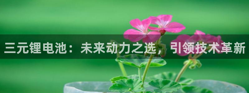k豆钱包手