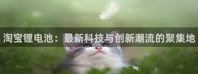 k豆钱包下载安卓版