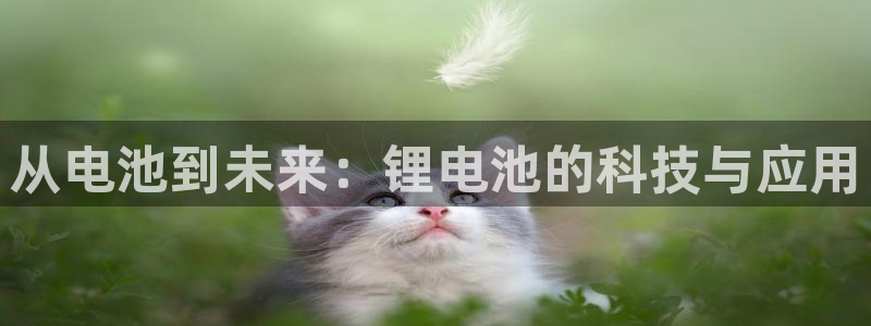 k 豆钱包4