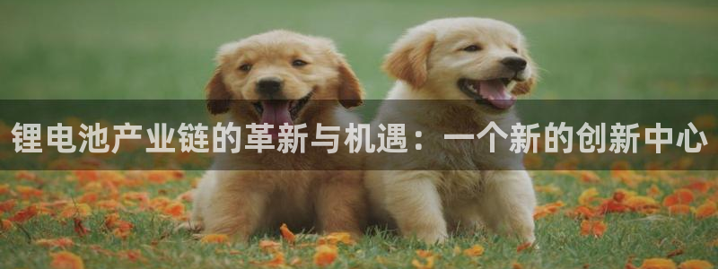 k豆钱包怎么使用