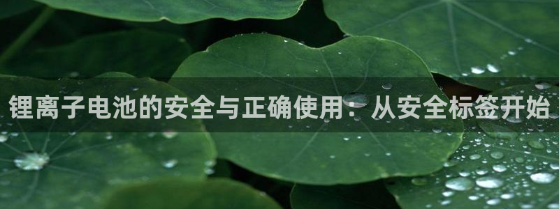 k豆pay钱包