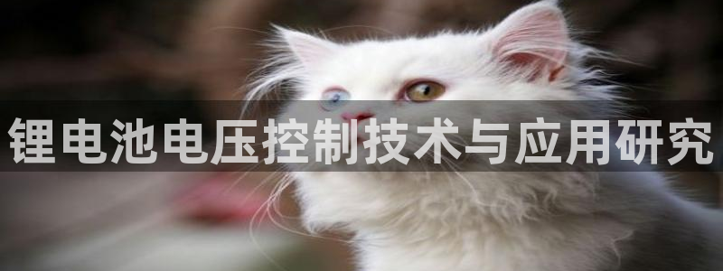 登陆k豆钱包