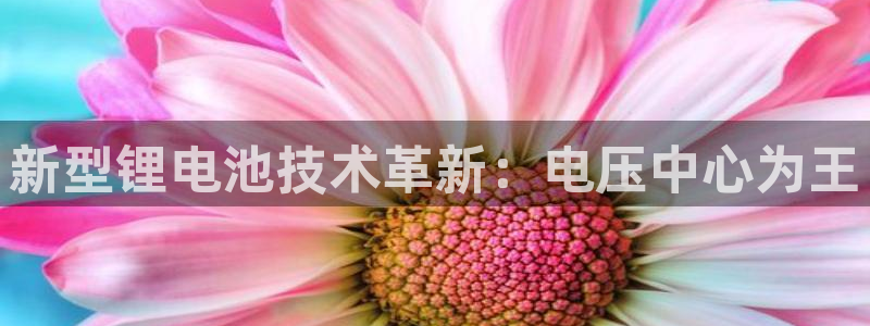 k豆钱包怎么提现到微信