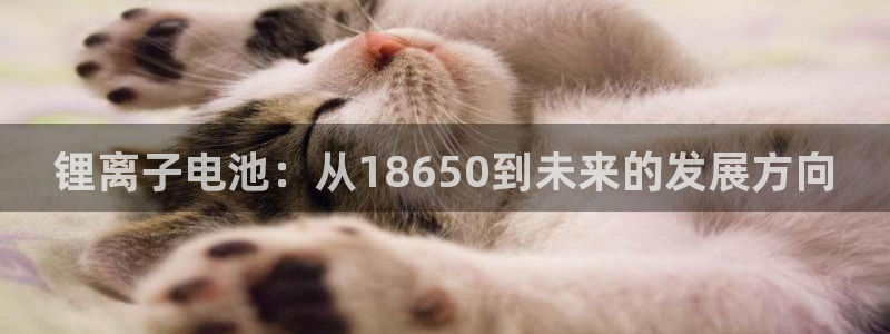 下载k豆钱包安装到手机