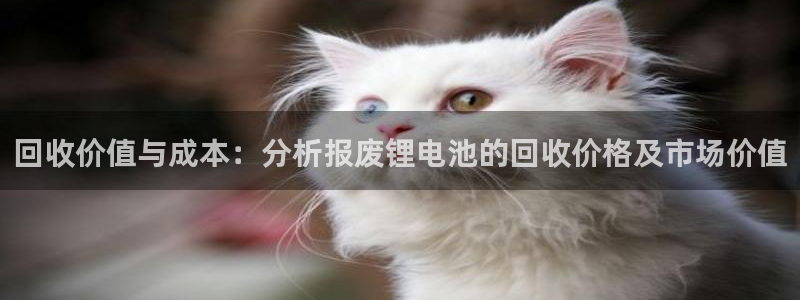 k豆钱包安卓版
