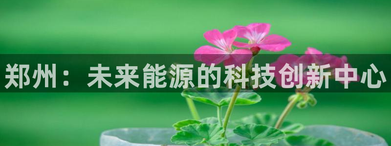 k豆钱包直接下载