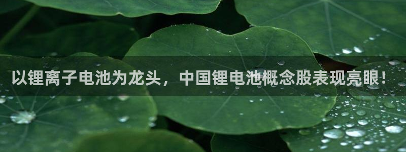 k豆钱包怎么玩的