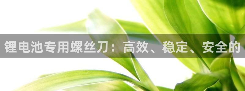 k豆钱包有啥用