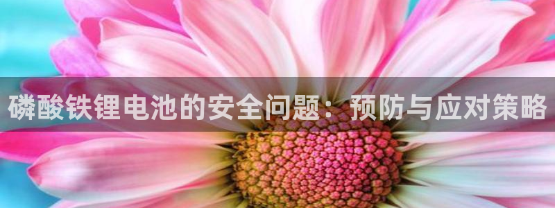 k豆钱包怎么样