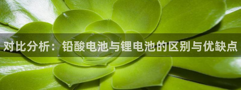 k豆钱包安全吗