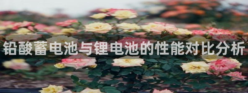 k豆钱包苹果下载
