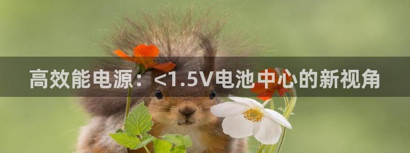 k豆钱包里