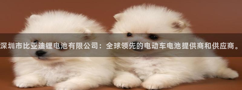 k豆钱包地址怎么写