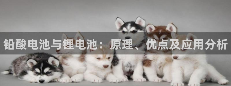 k豆钱包是什么软件