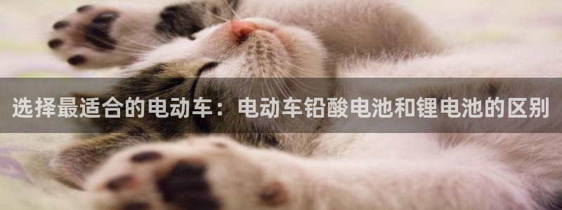 k豆钱包官网平台