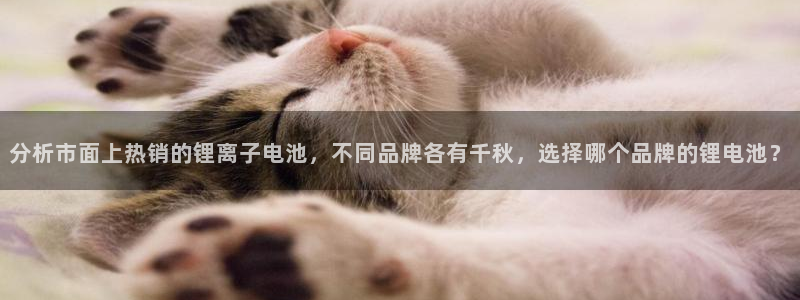 k豆钱包吧
