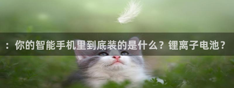 k 豆钱包下载