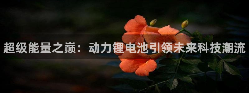 k豆钱包怎么下载