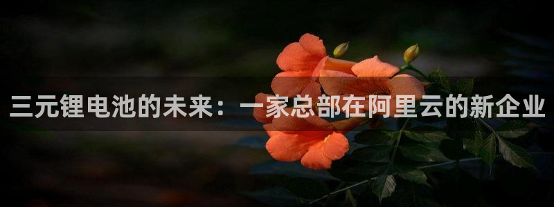 怎么才能下载k豆钱包