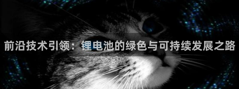 k豆钱包为什么下载不得呢