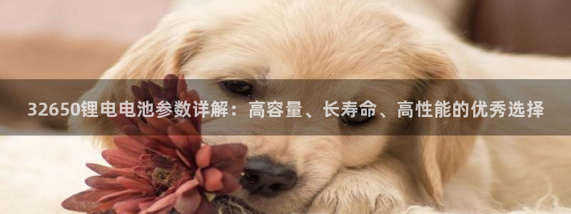 k豆钱包和kdpay是一样的吗