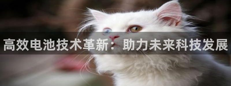 k豆钱包怎么下载