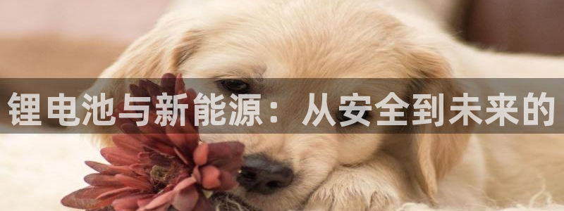 k豆钱包搬砖赚钱