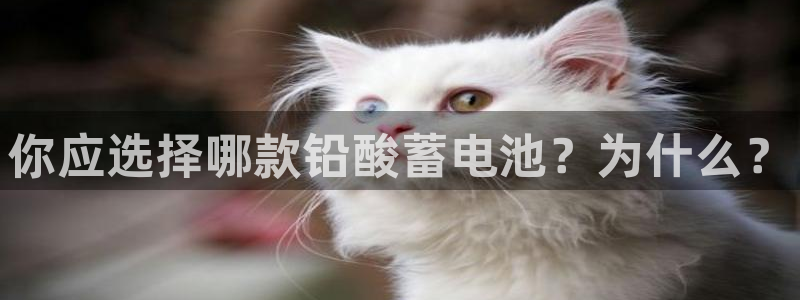 k豆钱包app苹果
