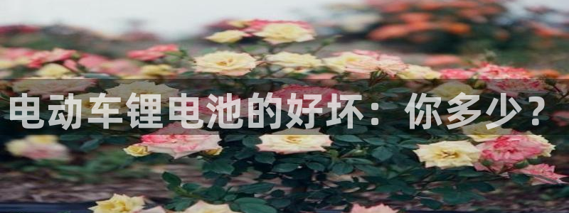 365钱包k豆钱包
