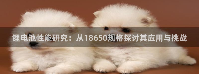 k豆钱包官网