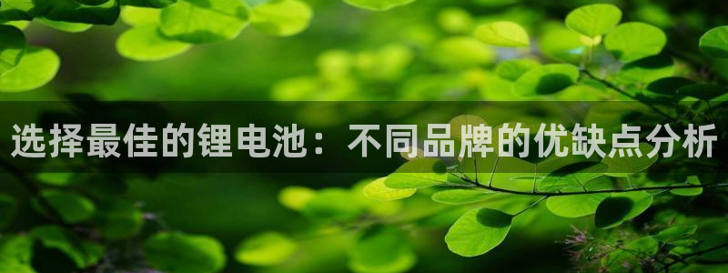 k豆钱包官网入口