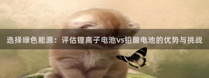 k豆钱包官网入口：选择绿色能源：评估锂离子电池vs铅酸电池的优势与挑战